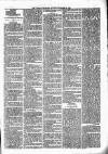 Lisburn Standard Saturday 27 November 1886 Page 3