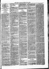 Lisburn Standard Saturday 16 July 1887 Page 3