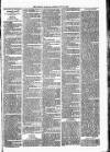Lisburn Standard Saturday 30 July 1887 Page 3