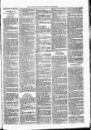 Lisburn Standard Saturday 20 August 1887 Page 3