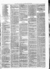 Lisburn Standard Saturday 15 October 1887 Page 3