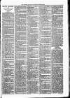 Lisburn Standard Saturday 31 March 1888 Page 3