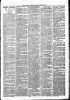 Lisburn Standard Saturday 07 April 1888 Page 3