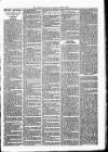 Lisburn Standard Saturday 14 April 1888 Page 3