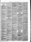 Lisburn Standard Saturday 21 April 1888 Page 3