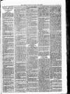 Lisburn Standard Saturday 12 May 1888 Page 3