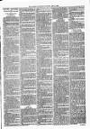 Lisburn Standard Saturday 19 May 1888 Page 3