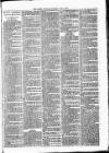 Lisburn Standard Saturday 09 June 1888 Page 3