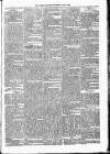 Lisburn Standard Saturday 09 June 1888 Page 5