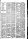 Lisburn Standard Saturday 30 June 1888 Page 3