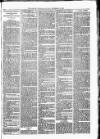 Lisburn Standard Saturday 15 September 1888 Page 3