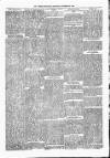 Lisburn Standard Saturday 24 November 1888 Page 5