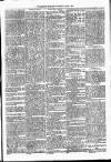 Lisburn Standard Saturday 01 June 1889 Page 5