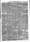 Lisburn Standard Saturday 22 June 1889 Page 5