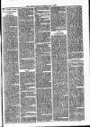 Lisburn Standard Saturday 29 June 1889 Page 3