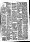 Lisburn Standard Saturday 26 October 1889 Page 3
