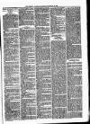 Lisburn Standard Saturday 28 December 1889 Page 3