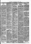 Lisburn Standard Saturday 25 January 1890 Page 3