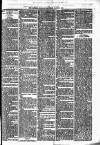 Lisburn Standard Saturday 08 March 1890 Page 3