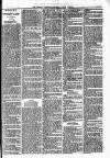 Lisburn Standard Saturday 22 March 1890 Page 3