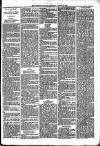 Lisburn Standard Saturday 29 March 1890 Page 3