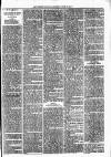 Lisburn Standard Saturday 26 April 1890 Page 3