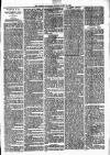 Lisburn Standard Saturday 24 May 1890 Page 3