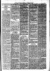 Lisburn Standard Saturday 15 November 1890 Page 3