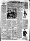 Lisburn Standard Saturday 10 January 1891 Page 3