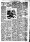 Lisburn Standard Saturday 07 February 1891 Page 3