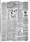 Lisburn Standard Saturday 25 April 1891 Page 3