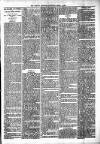 Lisburn Standard Saturday 04 March 1893 Page 3