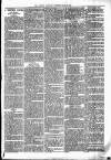 Lisburn Standard Saturday 27 May 1893 Page 3