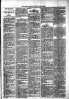 Lisburn Standard Saturday 10 June 1893 Page 3