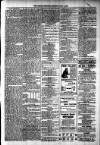 Lisburn Standard Saturday 15 July 1893 Page 7