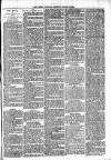 Lisburn Standard Saturday 13 January 1894 Page 3