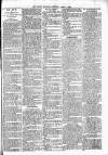 Lisburn Standard Saturday 17 March 1894 Page 3
