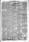 Lisburn Standard Saturday 14 April 1894 Page 5