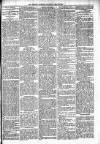 Lisburn Standard Saturday 26 May 1894 Page 3