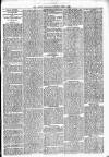 Lisburn Standard Saturday 09 June 1894 Page 3