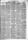 Lisburn Standard Saturday 30 June 1894 Page 3