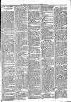 Lisburn Standard Saturday 24 November 1894 Page 3