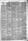 Lisburn Standard Saturday 29 December 1894 Page 3