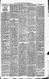 Lisburn Standard Saturday 28 December 1895 Page 3