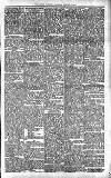Lisburn Standard Saturday 08 February 1896 Page 5