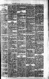 Lisburn Standard Saturday 21 November 1896 Page 3