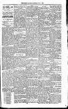 Lisburn Standard Saturday 31 July 1897 Page 5