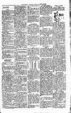 Lisburn Standard Saturday 22 April 1899 Page 3