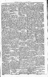 Lisburn Standard Saturday 17 March 1900 Page 5