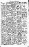 Lisburn Standard Saturday 24 March 1900 Page 3
